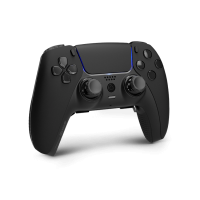 PS5 DualSense Wireless Controller