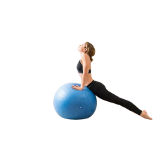 Exercise Ball